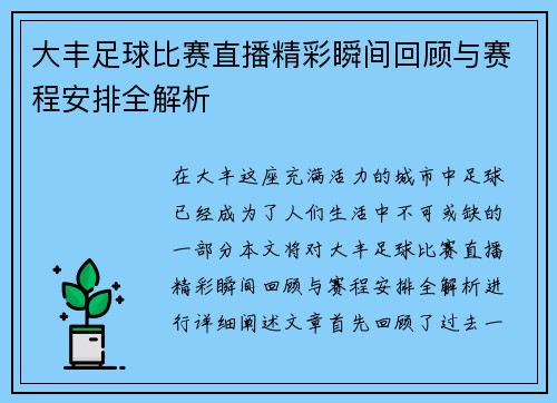 大丰足球比赛直播精彩瞬间回顾与赛程安排全解析